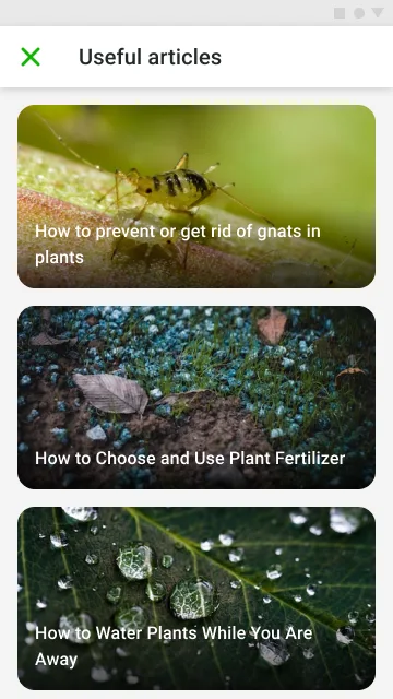 Useful Articles