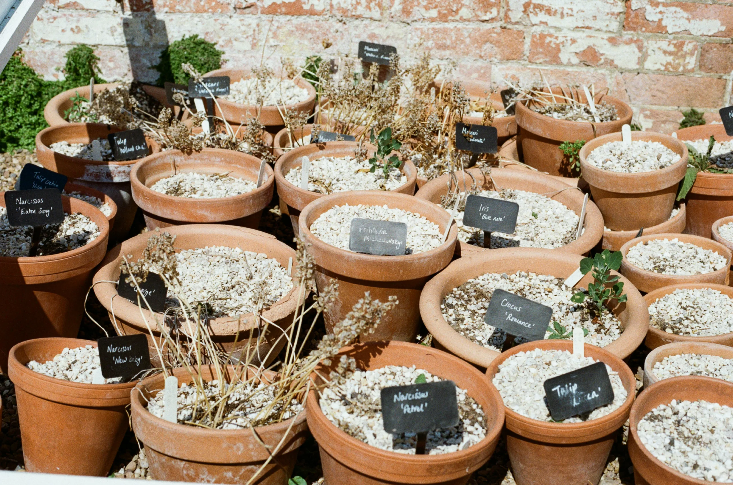 Creative Ways to Use Paper Scraps in Your Garden
