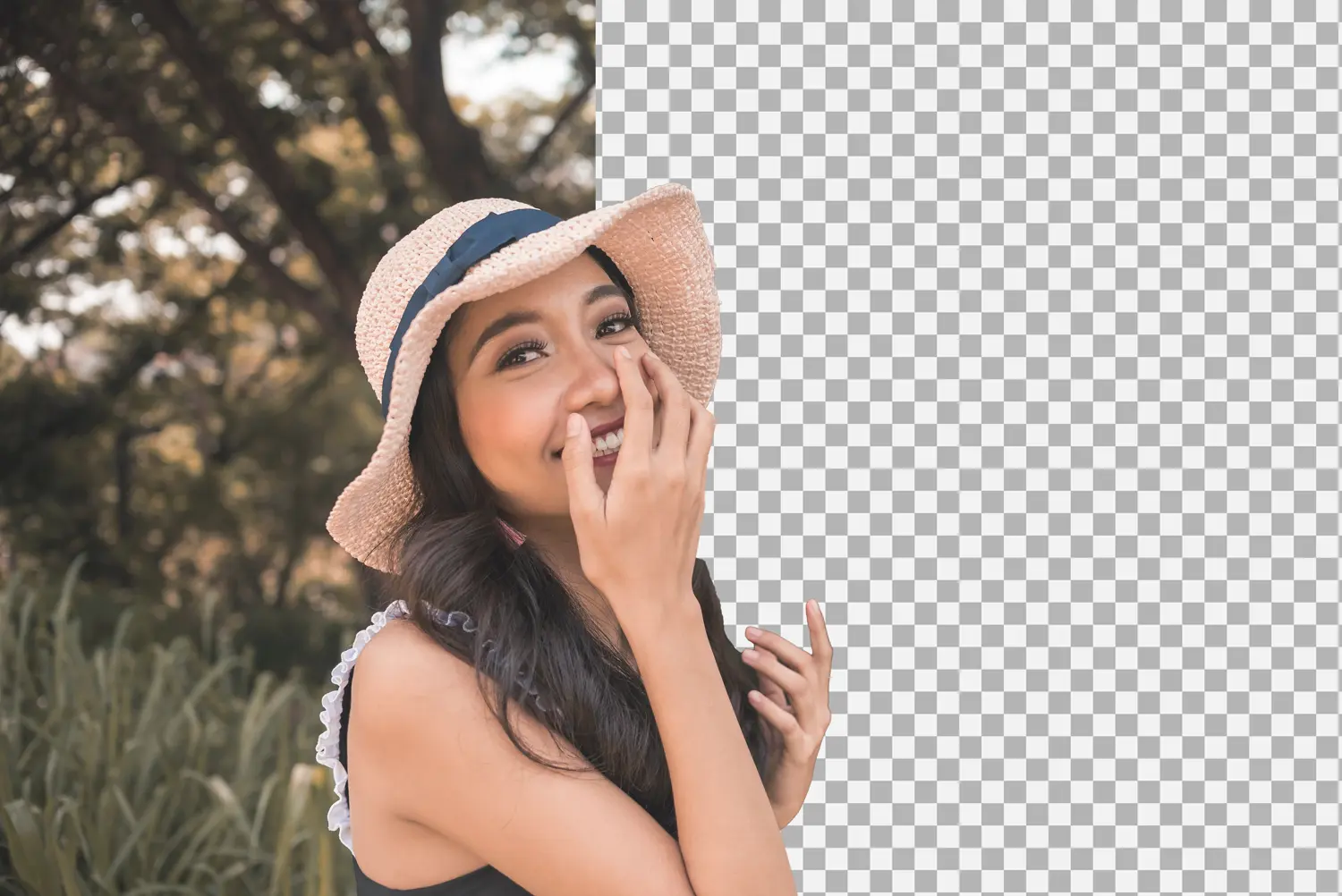 5 Best Video Background Remover Desktop Tools (Free & Paid)